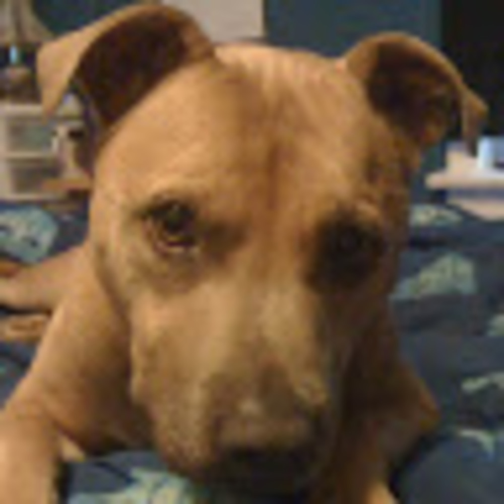 Meet your Posher, Celina